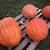 GIANT Pumpkins, organically grown beauties! + Winter Squash:) 8 thumbnail