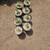 1 gallon Assorted Succulents - 5 for $20 11 thumbnail