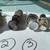 1964-1972 Chevelle Monte Calo Buick Cigarrent light 2 thumbnail