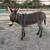 Mini Cattle and Mini Donkeys 20 thumbnail