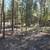 Private acreage in La Pine or 18 thumbnail