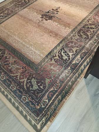 Nice large rug 8x10 1