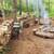 Mountain Retreat 2.6 Acres With 3/2 home 7 thumbnail