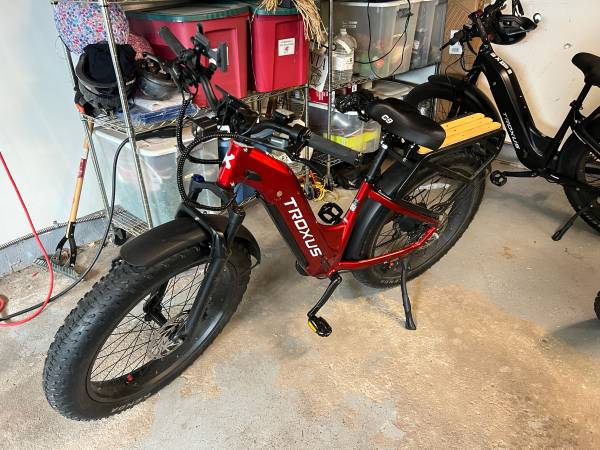 Troxus  EBike 1