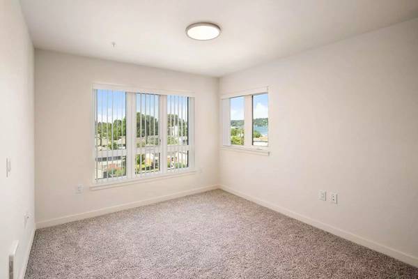 $1,517 / 1br - 514ft2 - Gorgeous 514 Sq Ft, 1 Bed / 1 Bath near public transportation (Seattle)63934551031938121