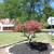 HOUSE FOR RENT, LEASE OR OUTRIGHT PURCHASE 5 thumbnail