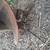 Danuser Heavy Duty Post Hole Digger 12" Auger 10 thumbnail