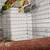 Lovebirds y Greencheek Parrots 12 thumbnail