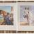 Vintage 1952 PORTFOLIO OF HORSES 23 Art Prints Wesley Dennis 4 thumbnail