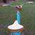 Huffy Female Cruiser 26" 1 thumbnail