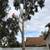 🌴🌳 Tree Service -Stump Grinding-TREE REMOVAL🌴🌳🌴 3 thumbnail