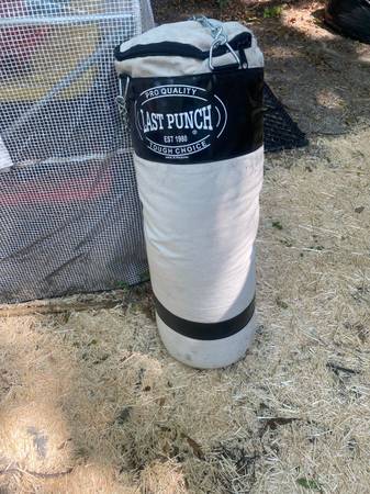 Punching bag 1