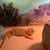 Bearded dragon 2 thumbnail