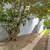 Spacious 2-bedroom, 1-bathroom unit 17 thumbnail
