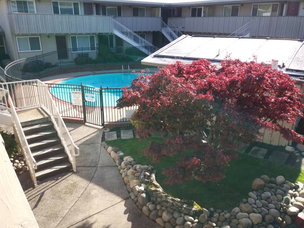 $2,500 / 2br - 800ft2 - *2x1* Camina hasta Broadway Plaza (walnut creek)63861099380609120