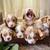 Coker spaniel 2 thumbnail