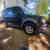 Honda Element  2003 1 thumbnail