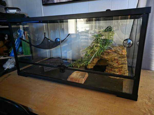 Reptile tanks (Micco)580371380585123841