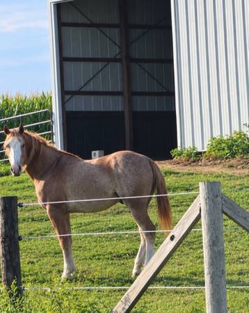 4yo Paint 1