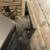 Pellet Stove 9 thumbnail