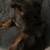 Mini Dachshund 2 thumbnail