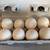 Turkey eggs 1 thumbnail