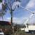 TREE TRIMMING/REMOVAL/PALM TRIMMING/SKINNING/REMOVAL 7 thumbnail