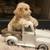 Mini Goldendoodles 4 thumbnail