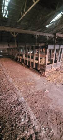 Cattle Feeder 1