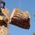 general tree services emergency tree services 4 thumbnail