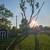 TREE SERVICES & LAWN CARE 13 thumbnail