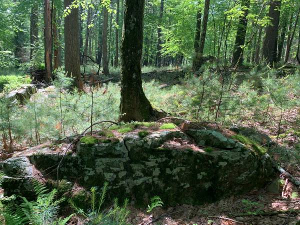 $9,000 / 54041ft2 - Nice, quiet, peaceful 1.24 Acre (Poconos, Pike County, Dingmans Ferry PA)63951424824194120