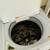 Kenmore Elite Washer and Gas Dryer 5 thumbnail