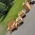 Cedar planters, eggs, laying hens, etc. 1 thumbnail