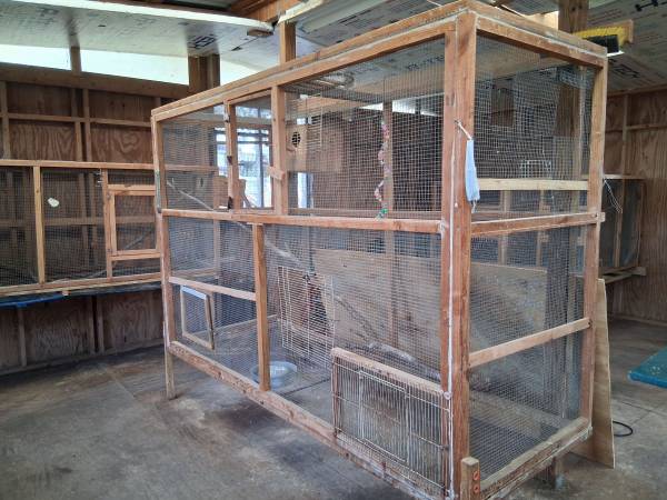 Big cages 1