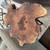 Mesquite Side Table - New! 3 thumbnail