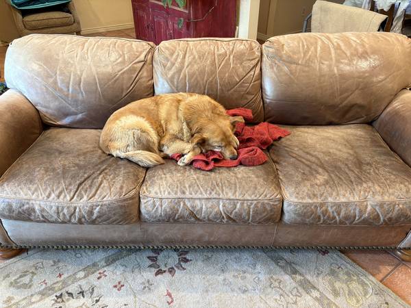 Leather Couch 1