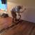 Floor Installation: Vinyl plank floors, Laminate and Hardwood flooring 10 thumbnail