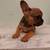 French bulldog Marshall 4 thumbnail