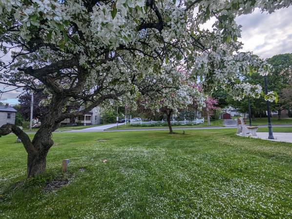$1,850 / 2br - 1000ft2 - Month to Month Executive 2BR ~ 1 BA Apartments (Lowville, NY)63822291519107124