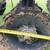 6’ heavy lifetime lasting farm disc 1 thumbnail