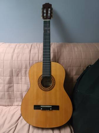 Classical guitar 1