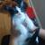 Kitten fixed 2 thumbnail