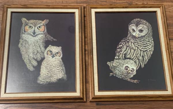 Vintage Mid-Century Framed Owl Print Pictures 1