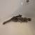Sugar gliders 1 thumbnail