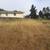 Weed Abatement, Yard work. Tree service. Fire Prevention. Insured 1 thumbnail