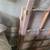 Dutch Door 2 thumbnail