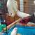 Red eyed albino fischer pair 2 thumbnail