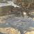Bobcat / Excavator Services Available 10 thumbnail