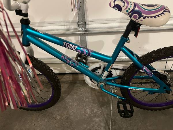 Girls Topaz -24” Bicycle 1